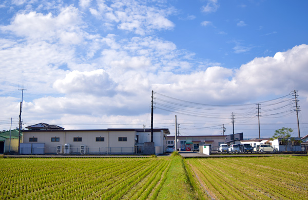 常に自然を大切にします